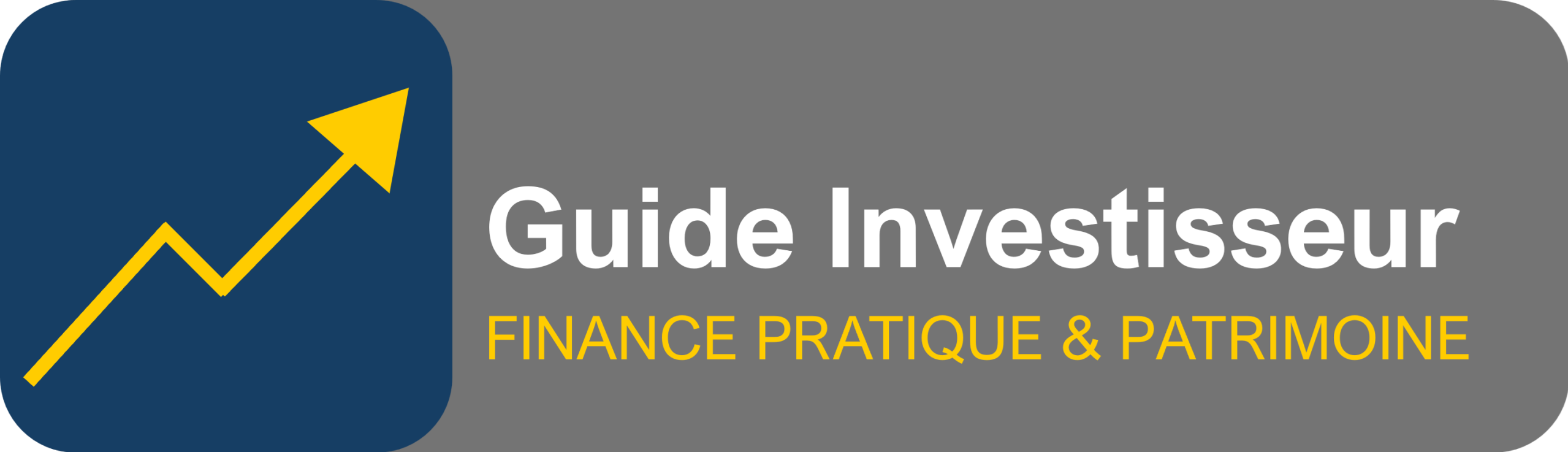 Guide Investisseur