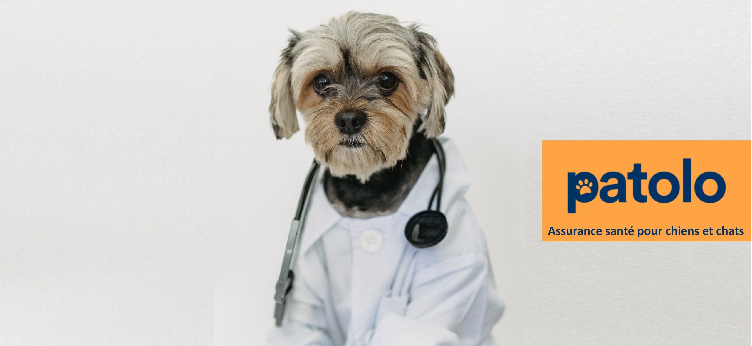 animaux-solidaires-ban-assurance-animale